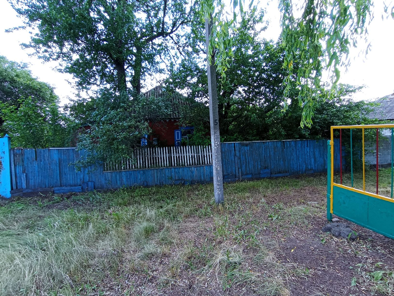 Image 4