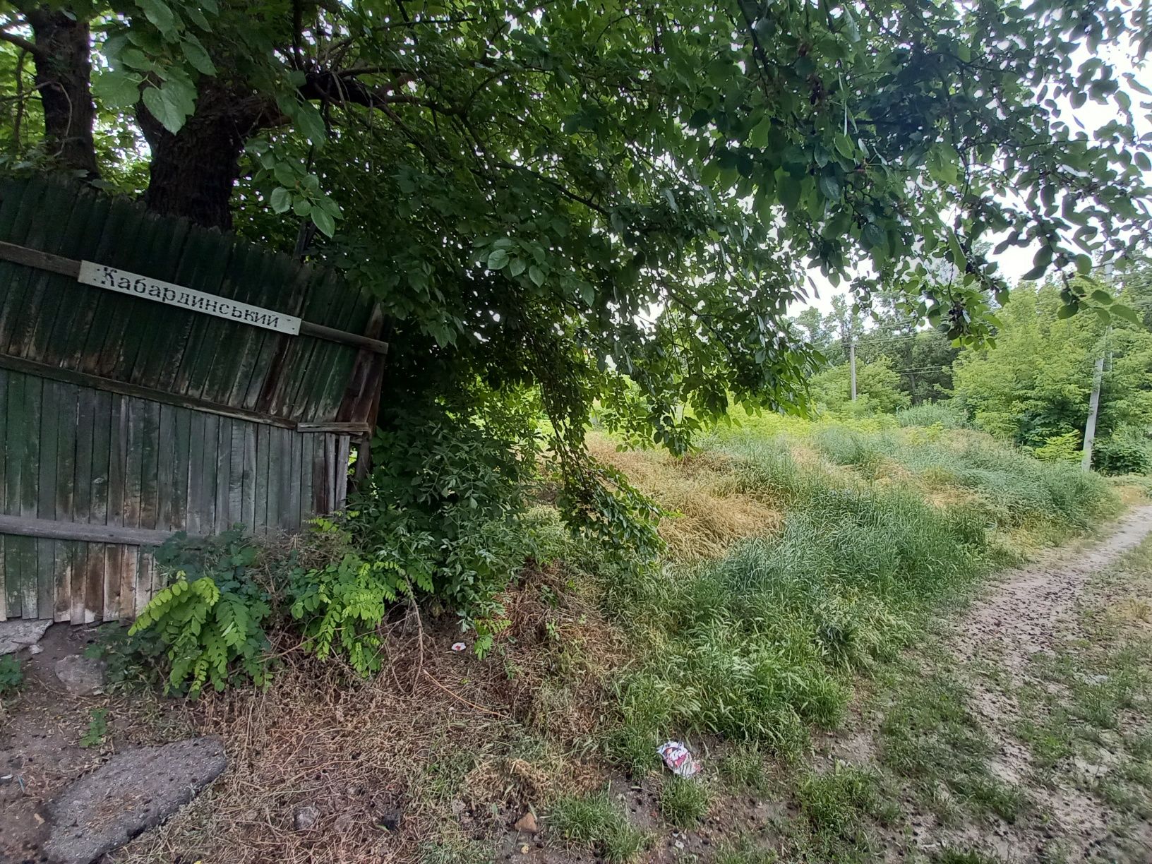 Image 8