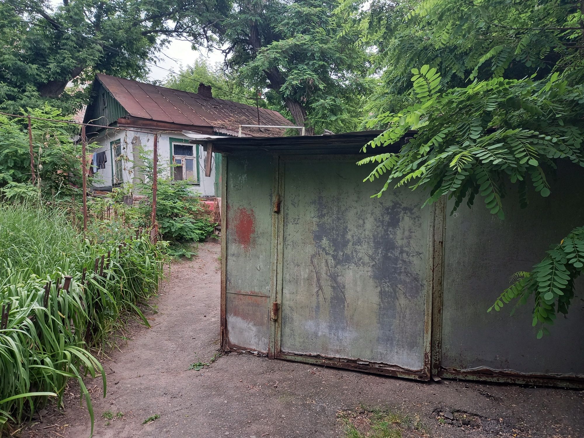 Image 7