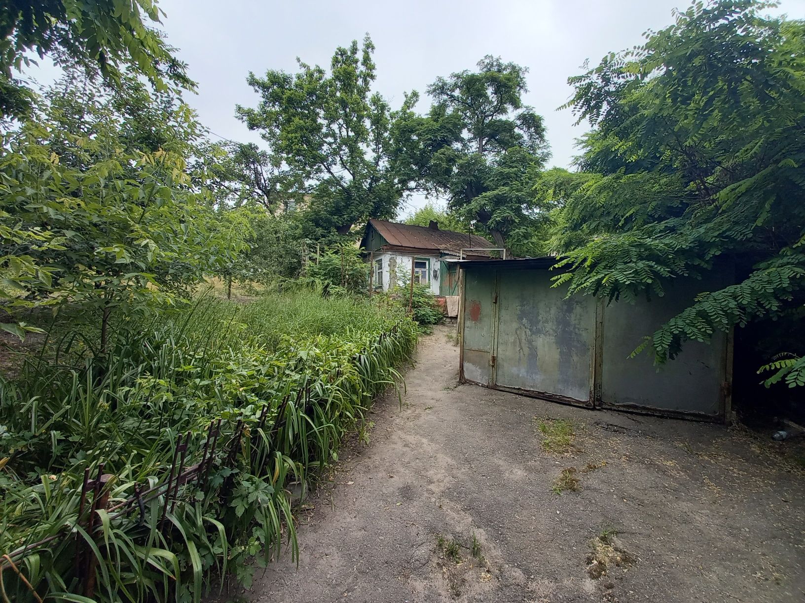 Image 6