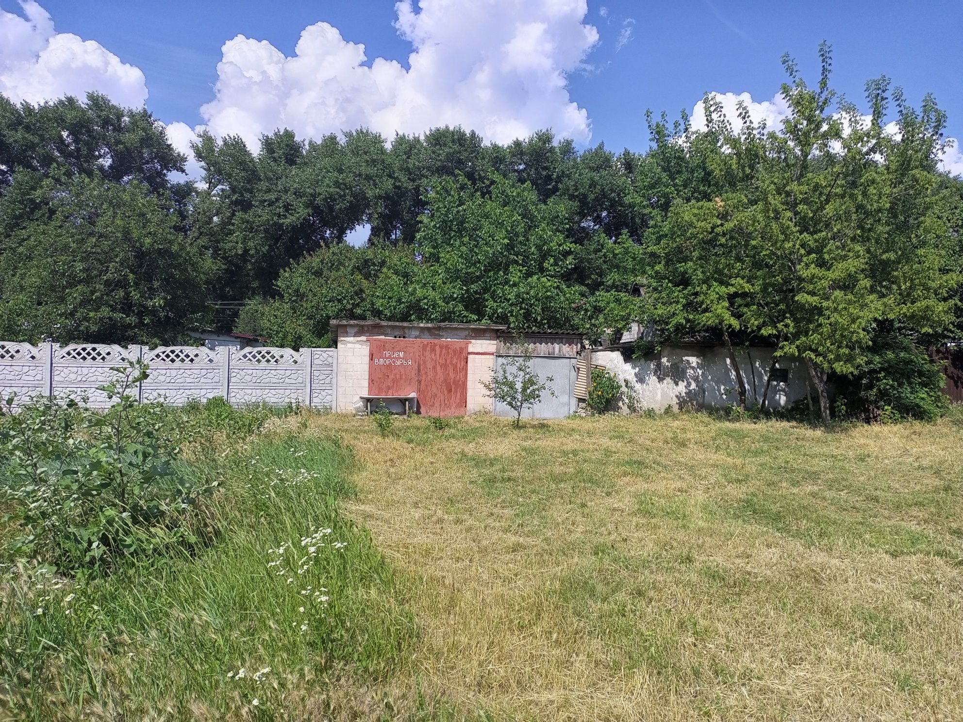 Image 6