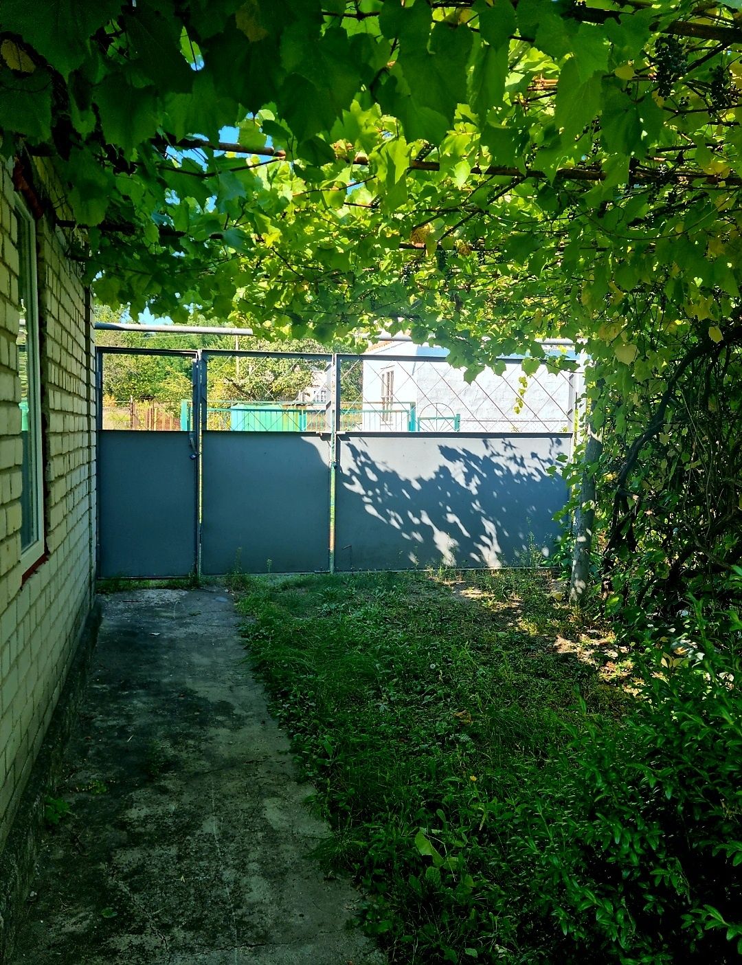 Image 11