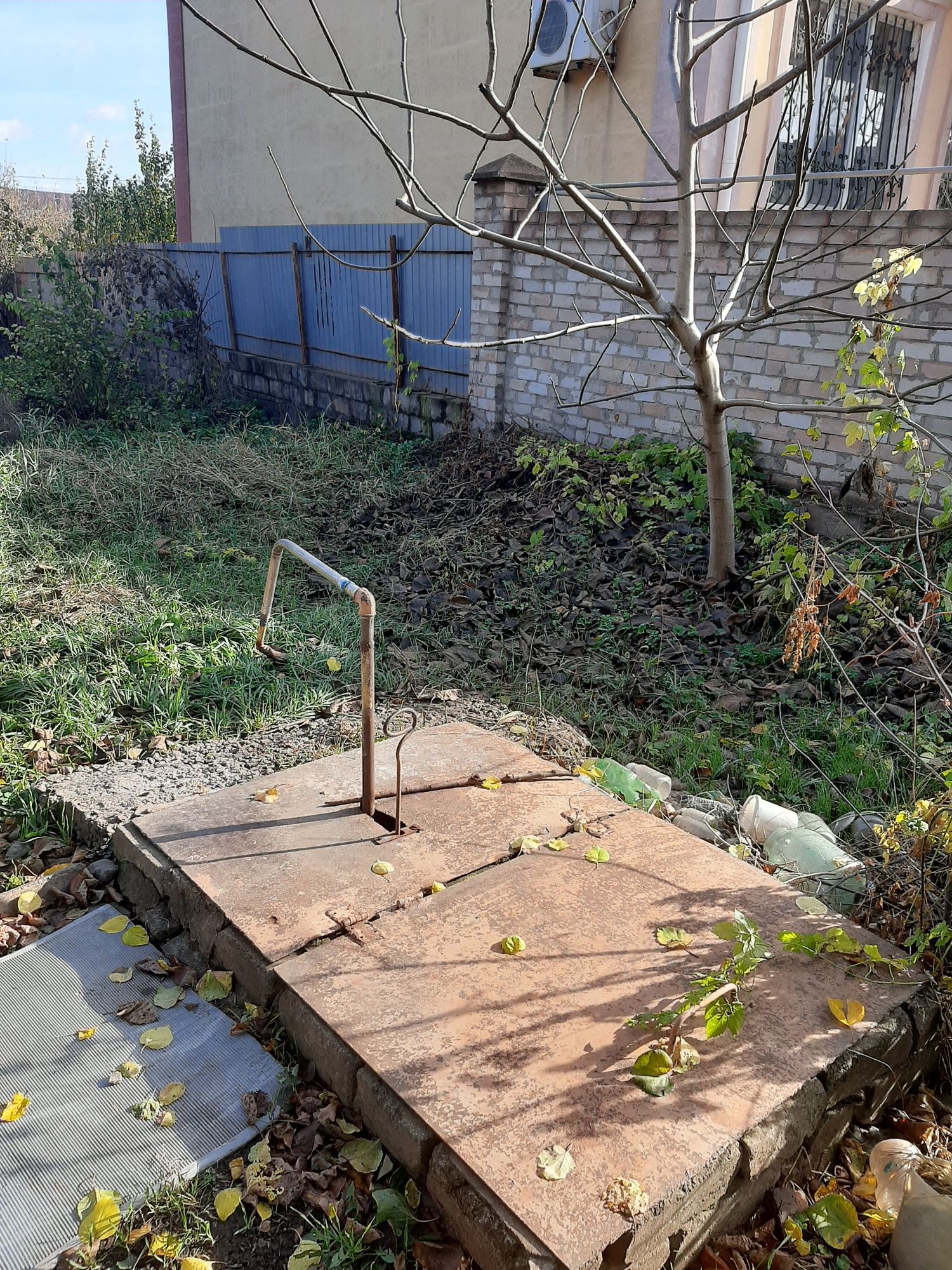 Image 8
