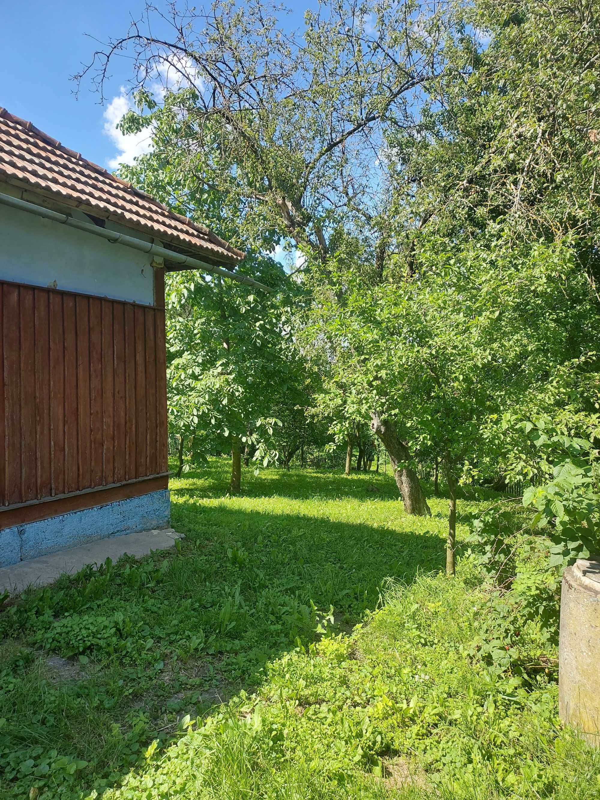 Image 13