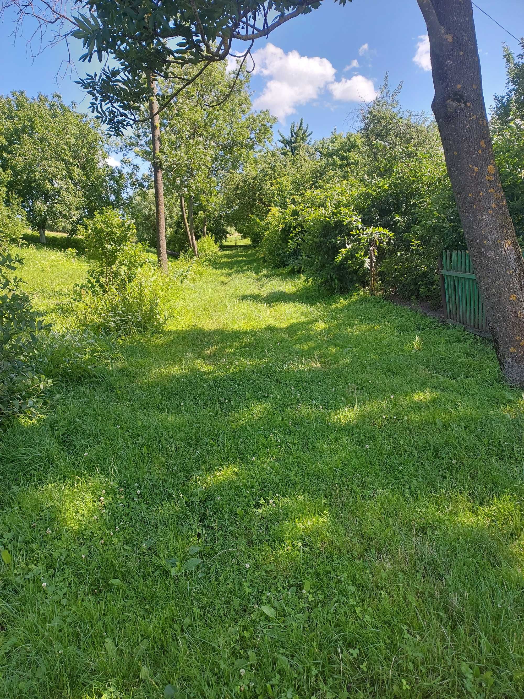 Image 15