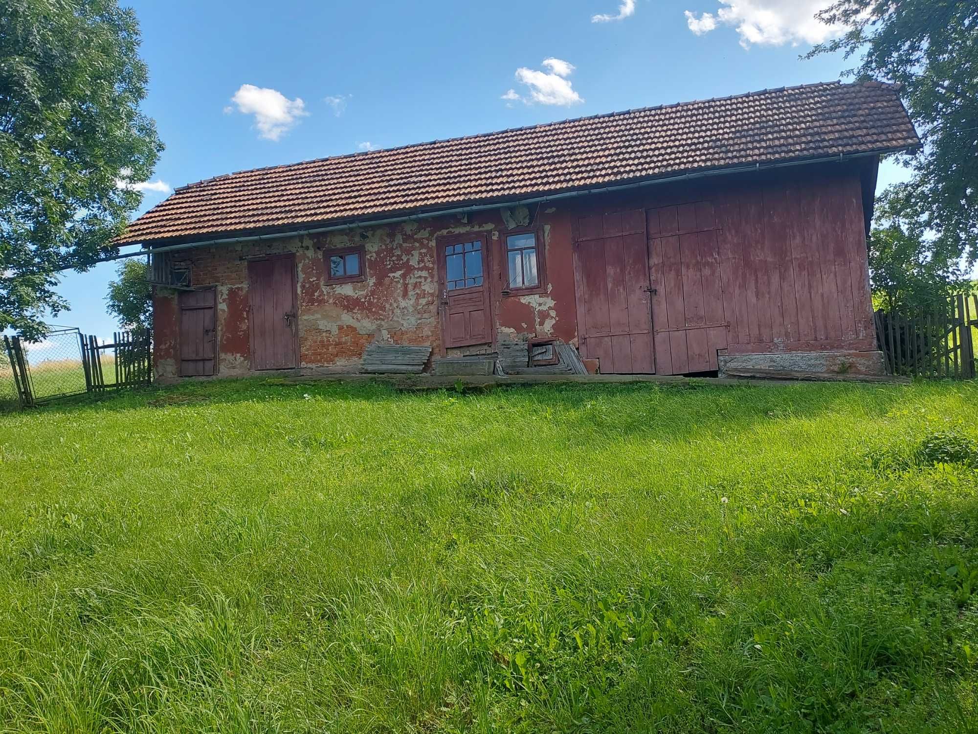 Image 14