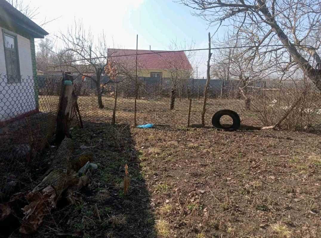 Image 12