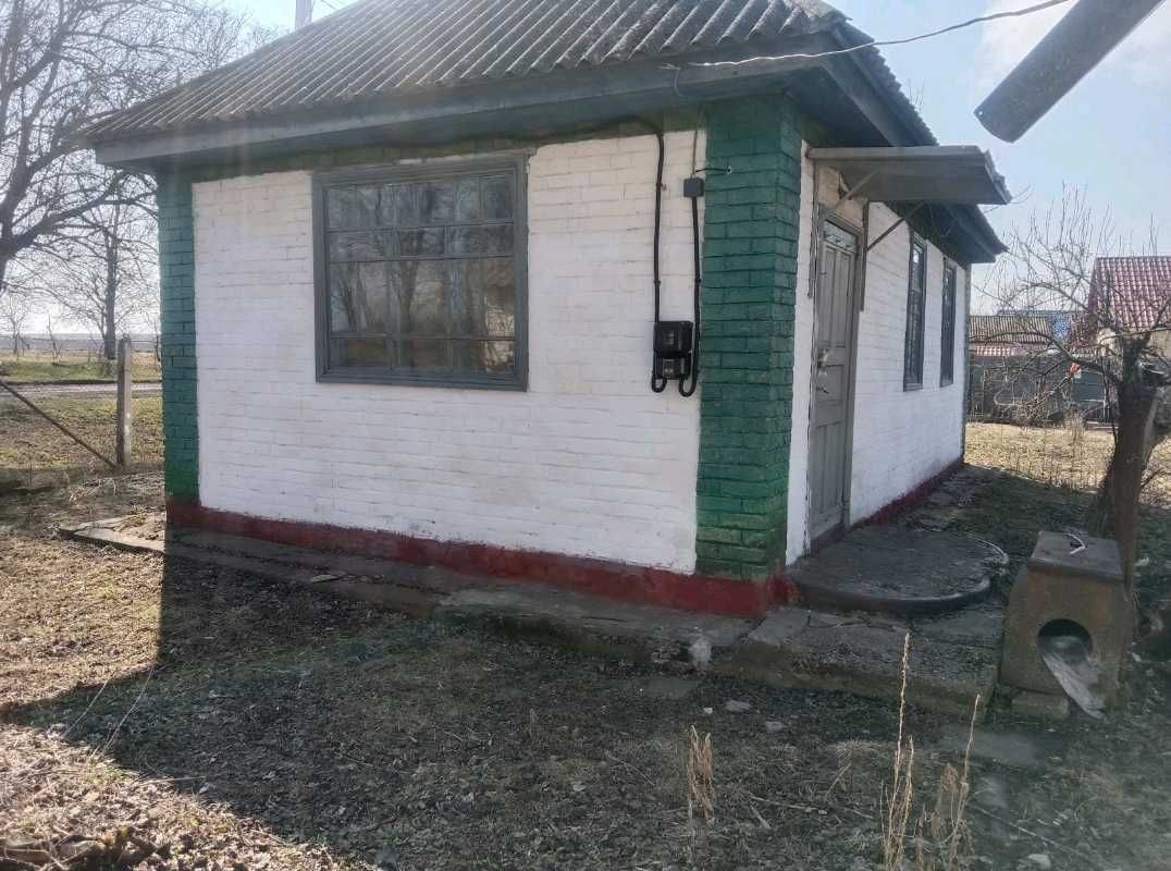Image 10