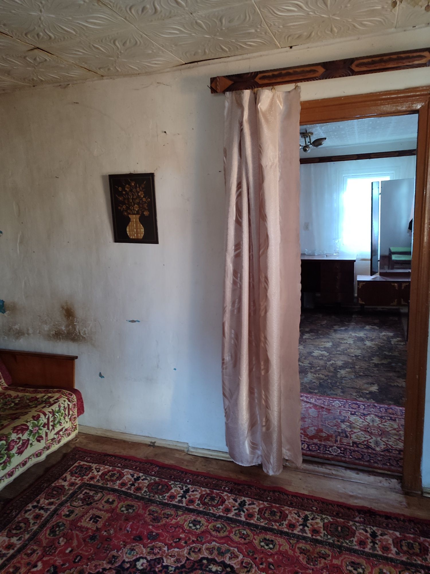 Image 14
