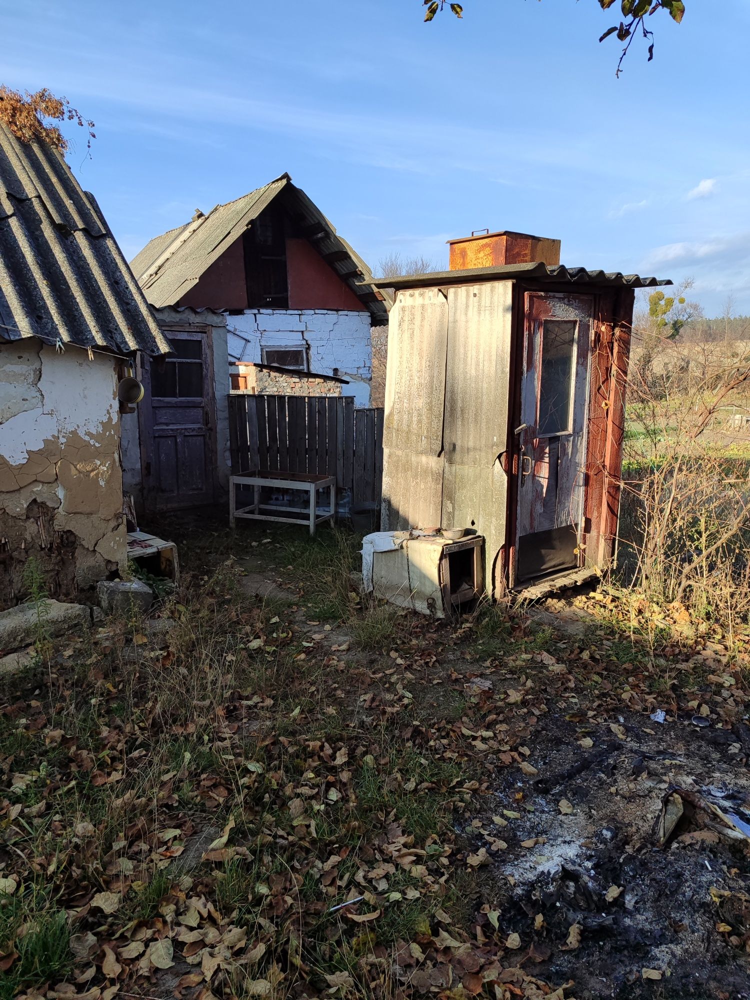 Image 6