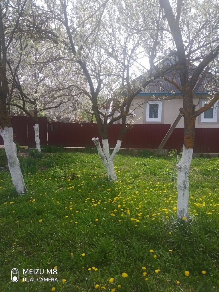 يبيع المالك منزلًا بالقرب من قرية Yosypivka على الطريق