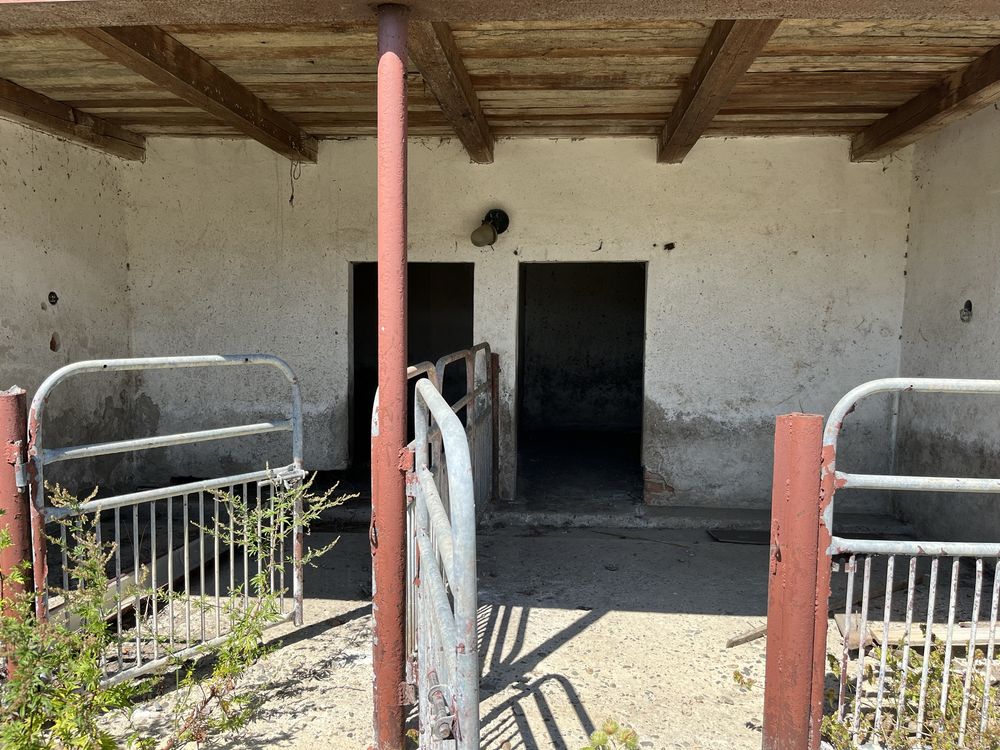 Image 18