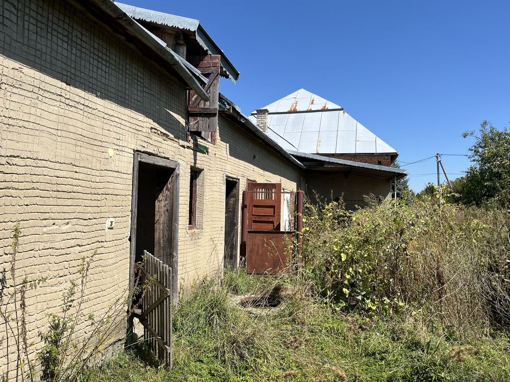 Image 19