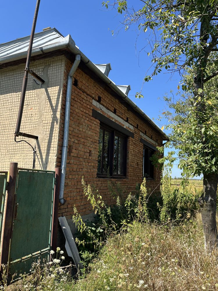 Image 15