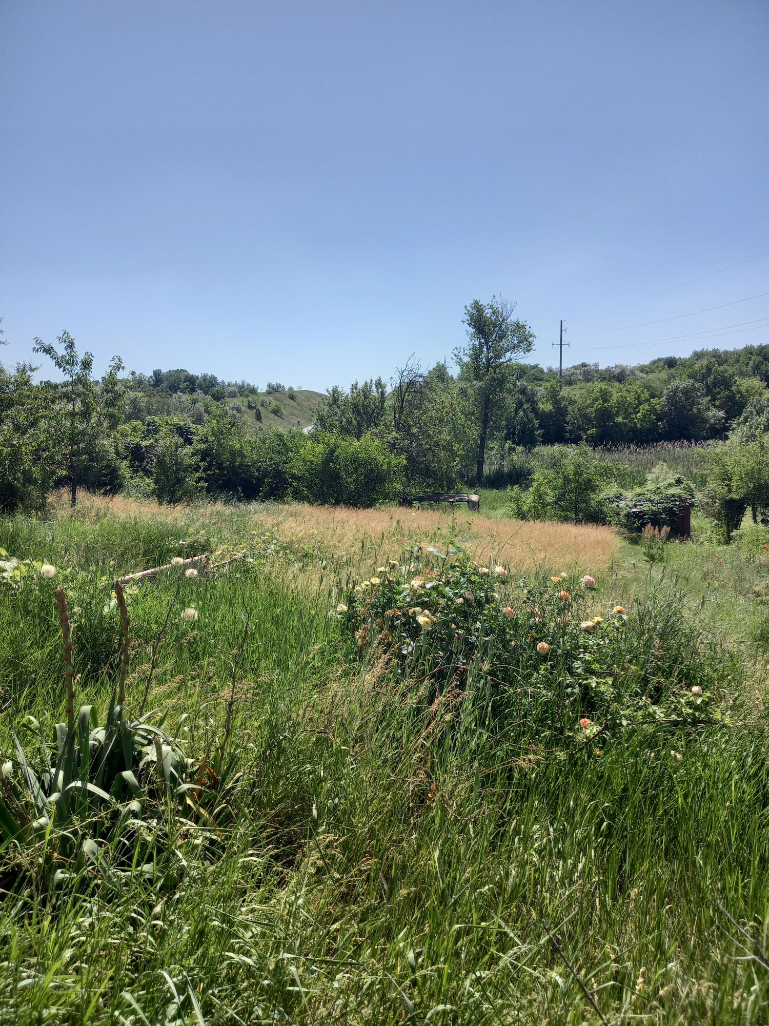 Image 9