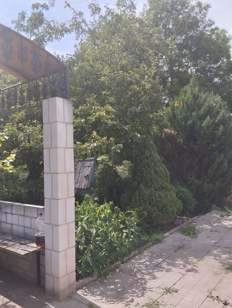 Image 13