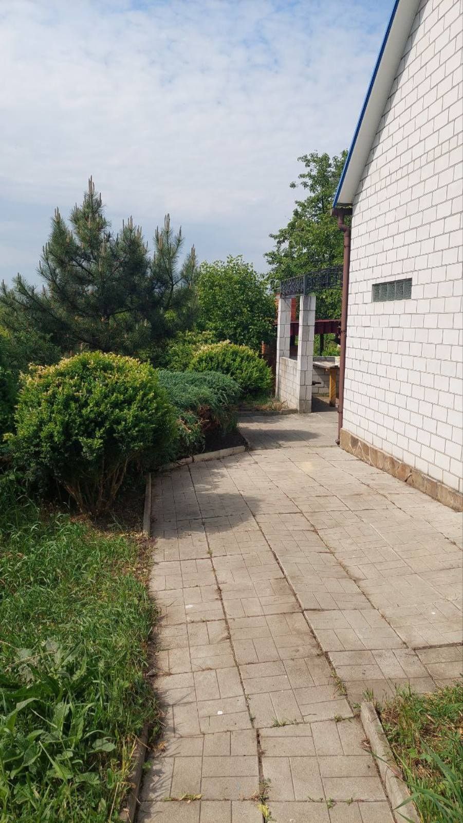 Image 22