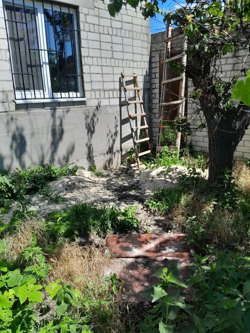 Image 5