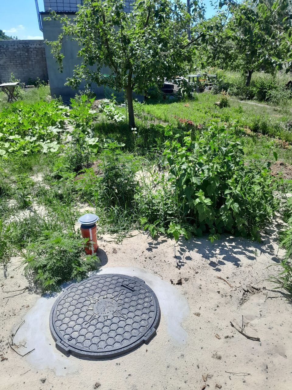 Image 6