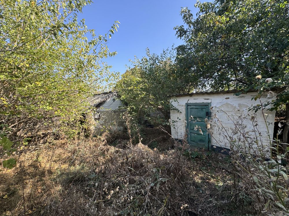 Image 8