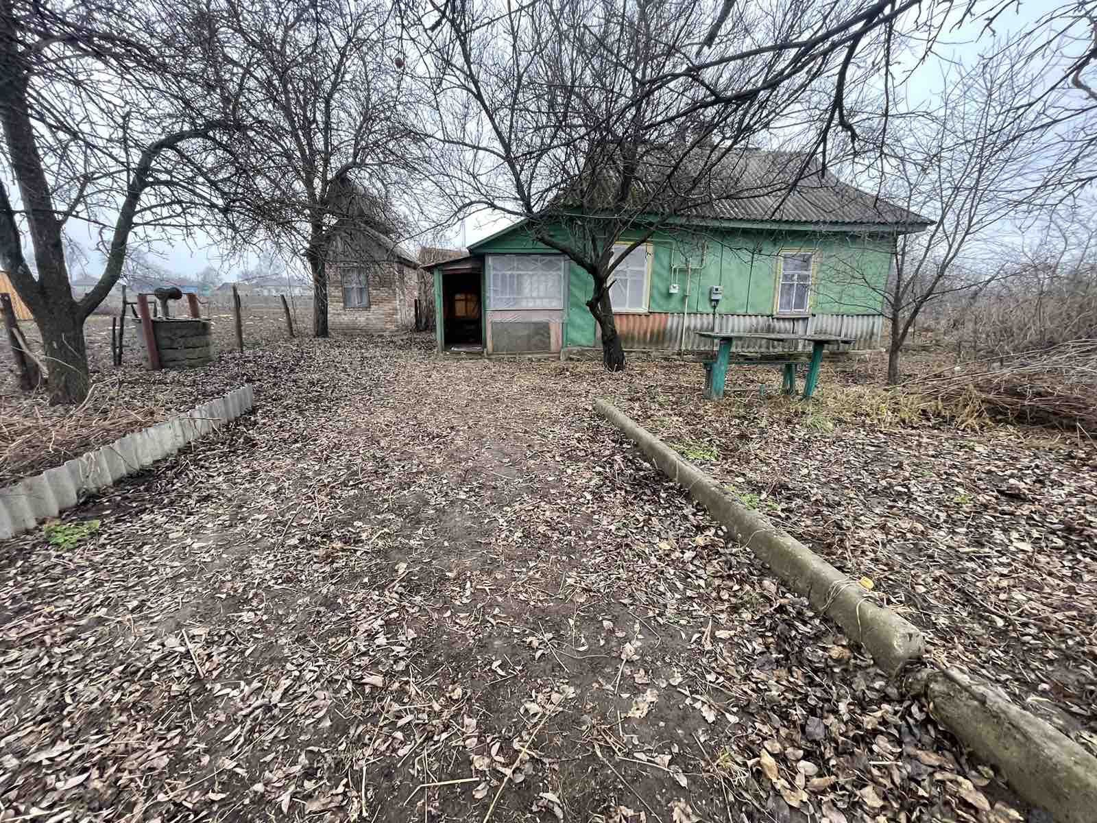 Image 14