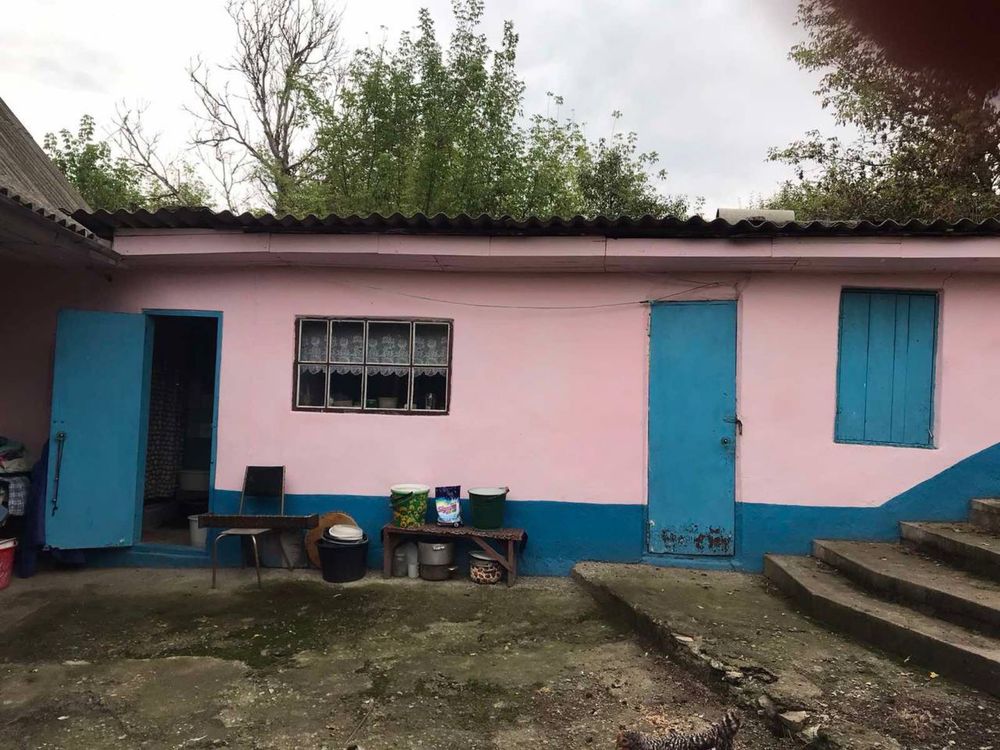 Image 16
