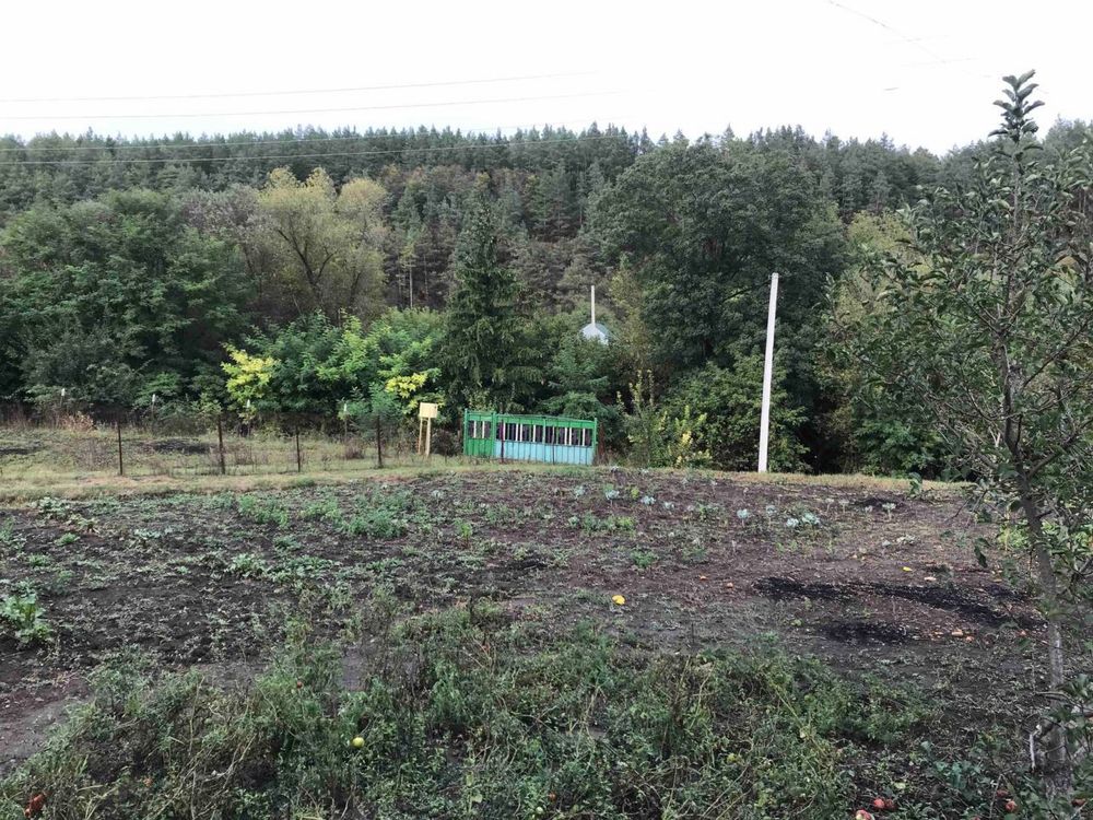 Image 14