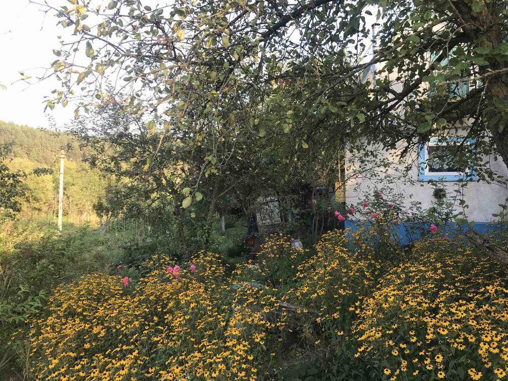 Image 23