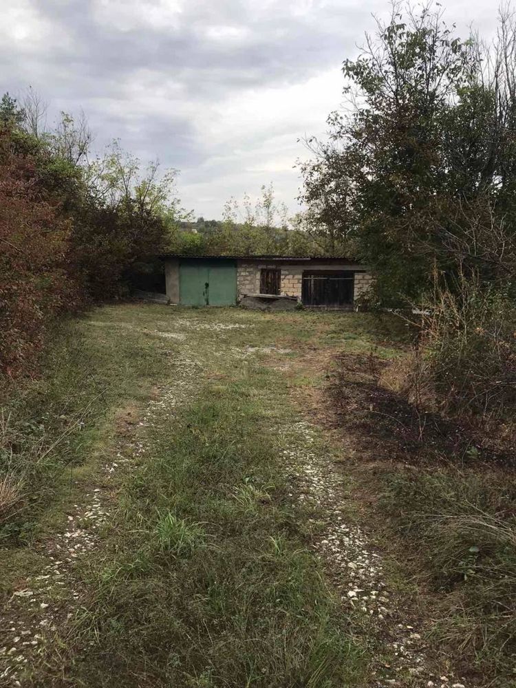 Image 21