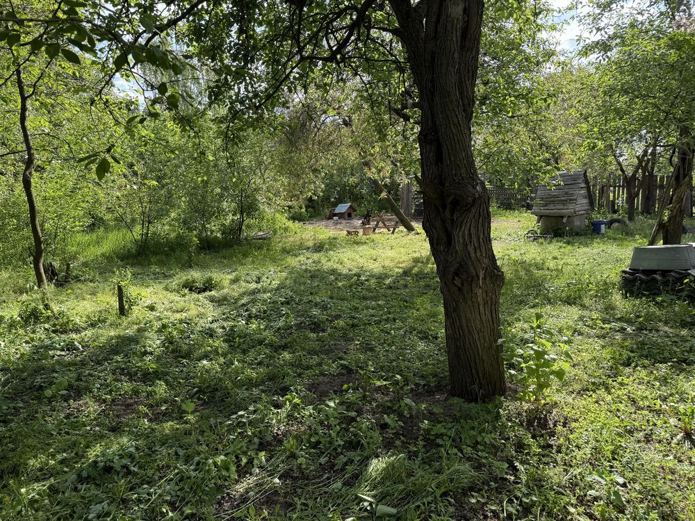 Image 13