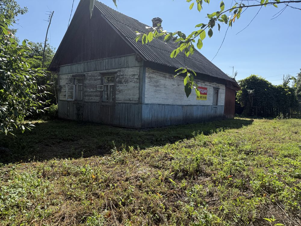 Image 16
