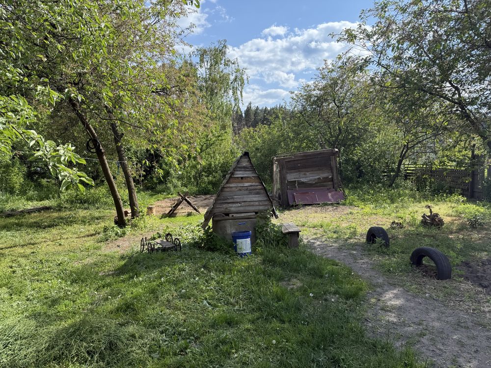 Image 15