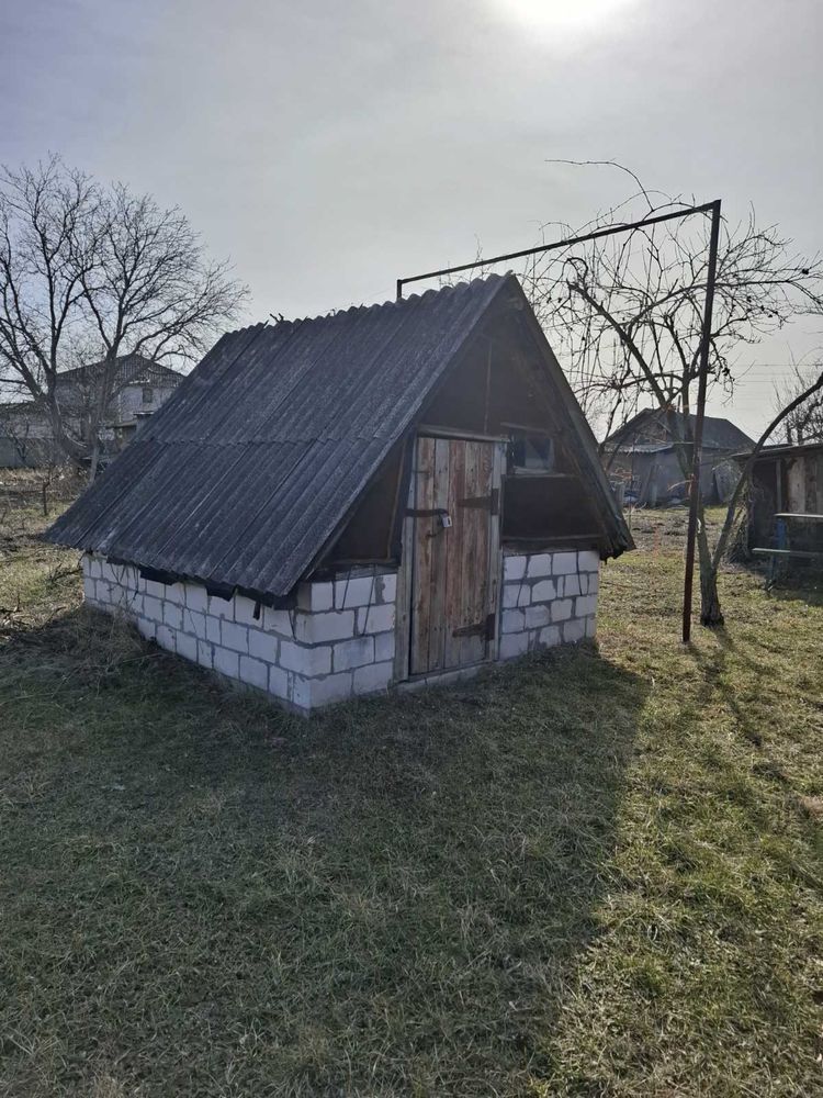 Image 8