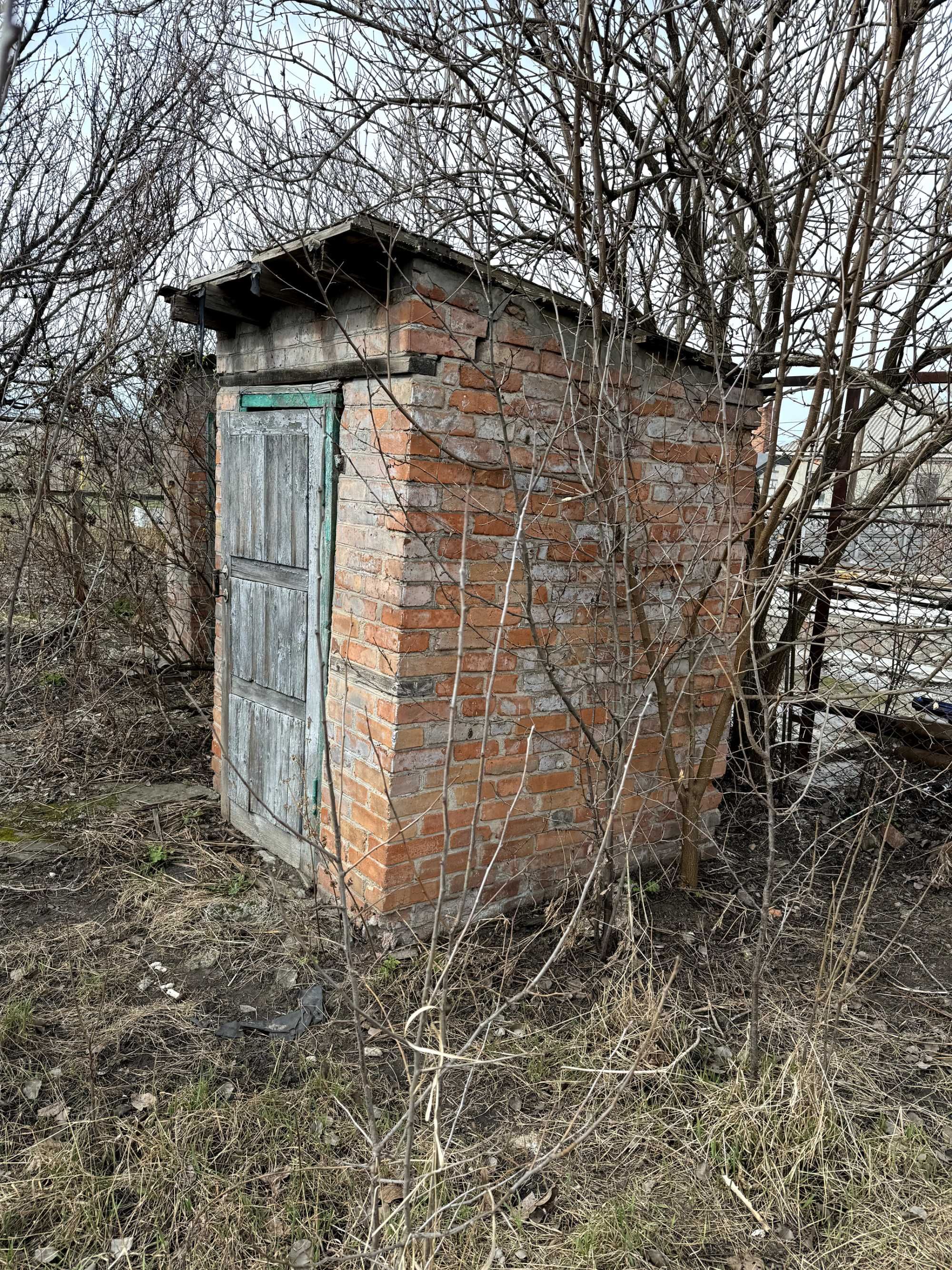 Image 12