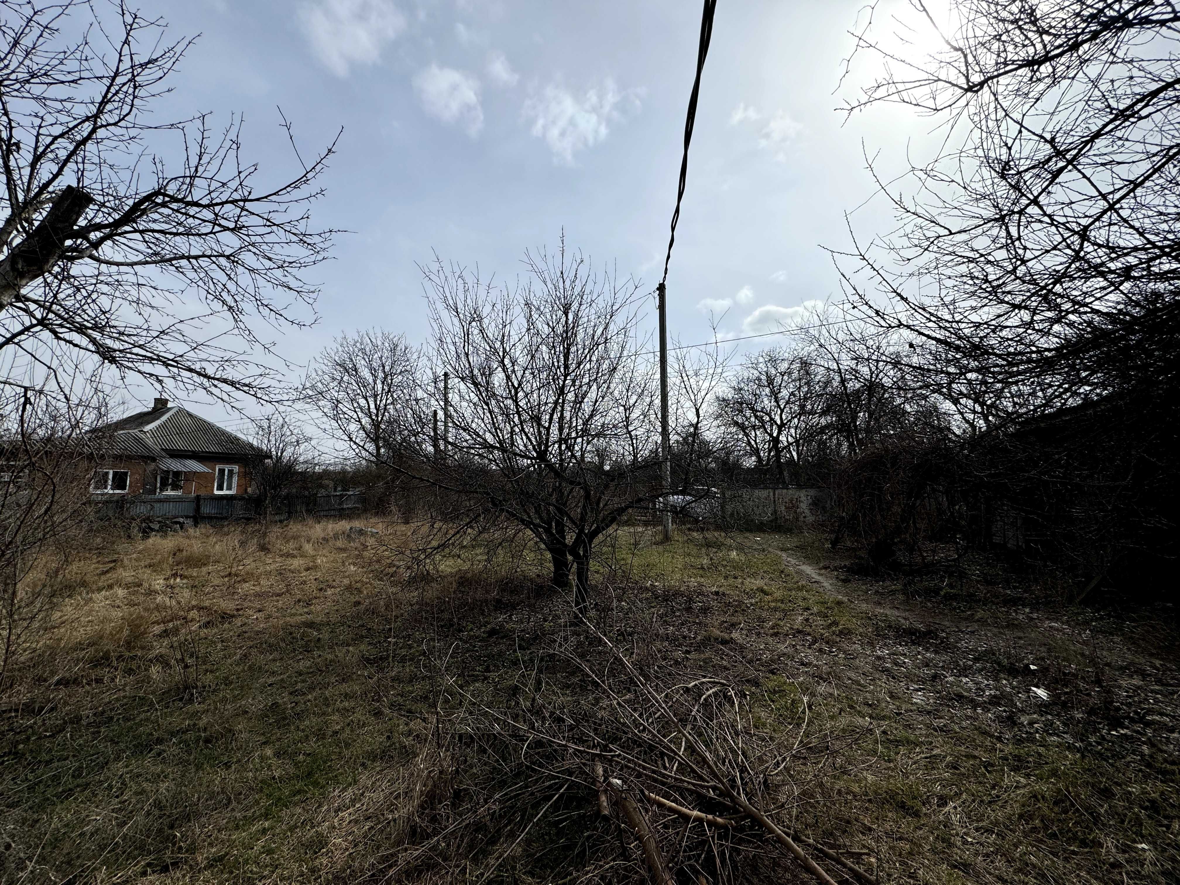 Image 13