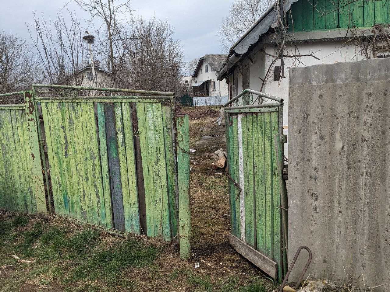 Image 13