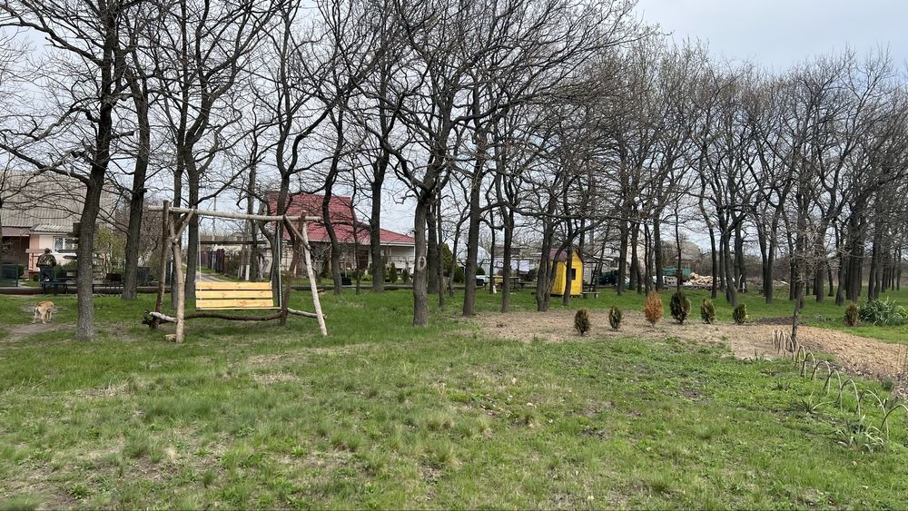 Image 12