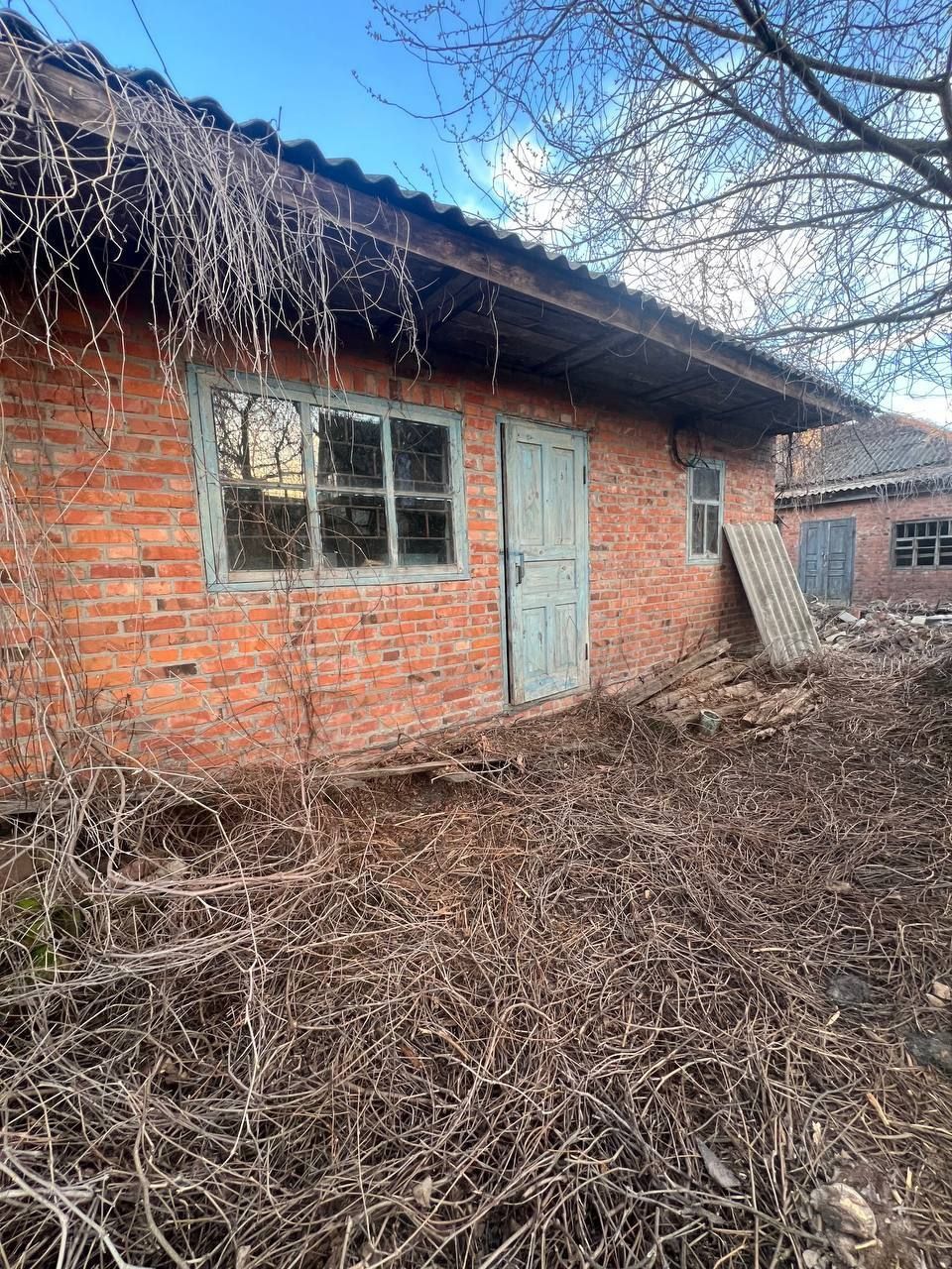 Image 7