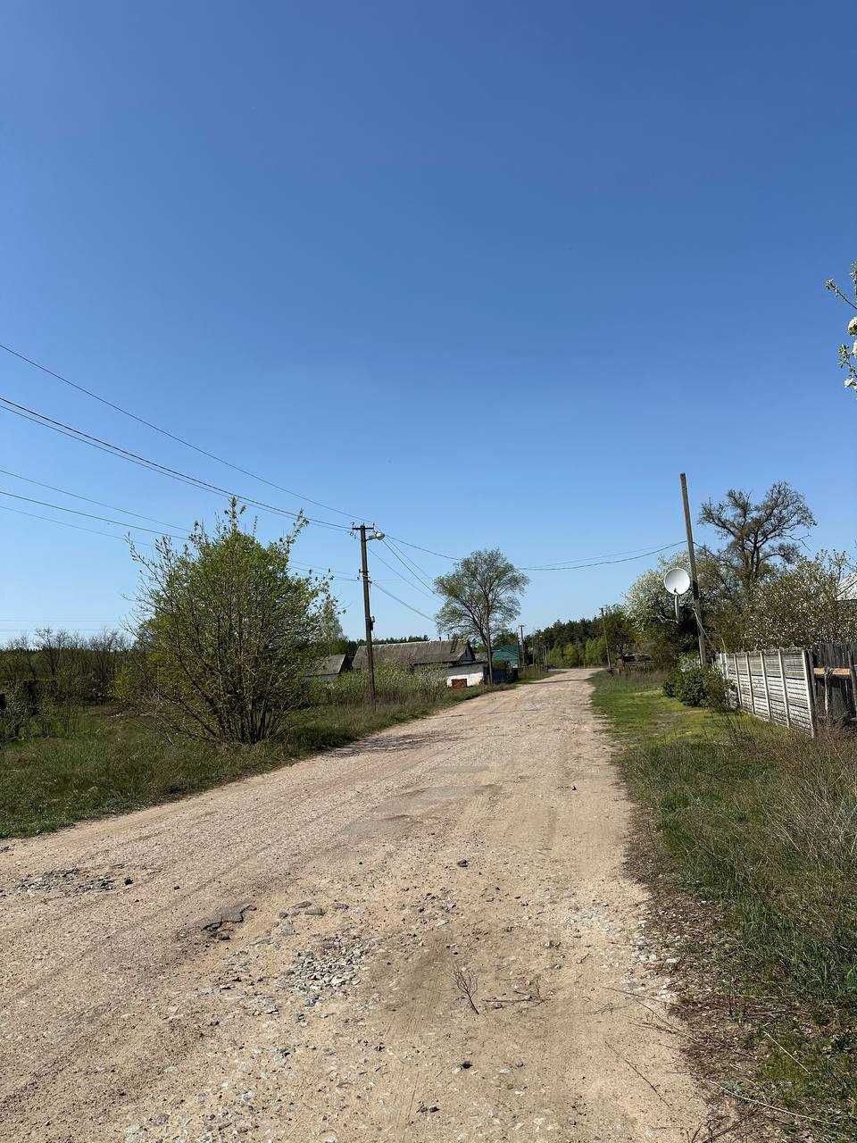 Image 16