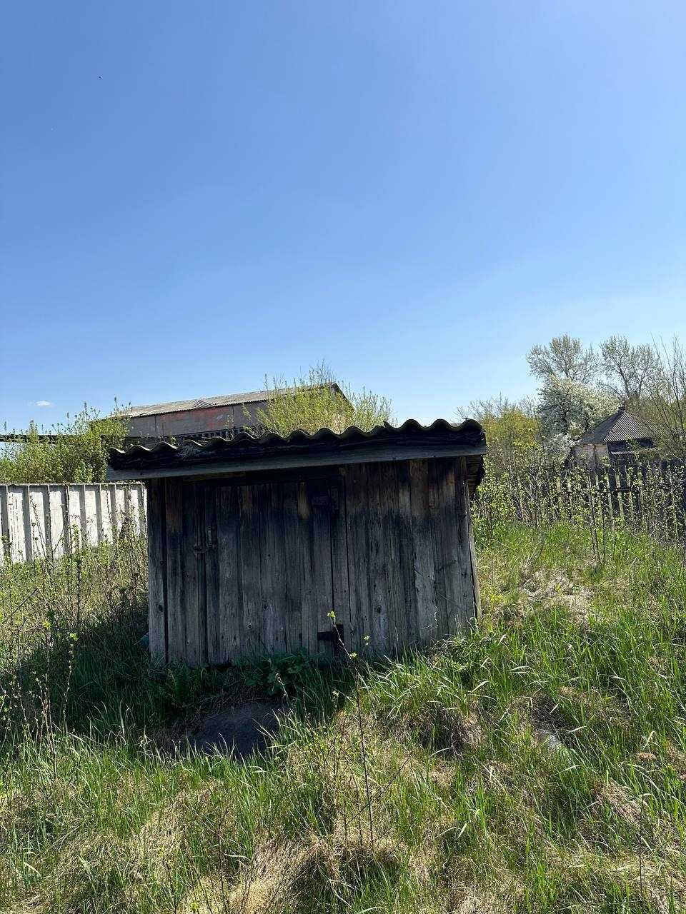 Image 19