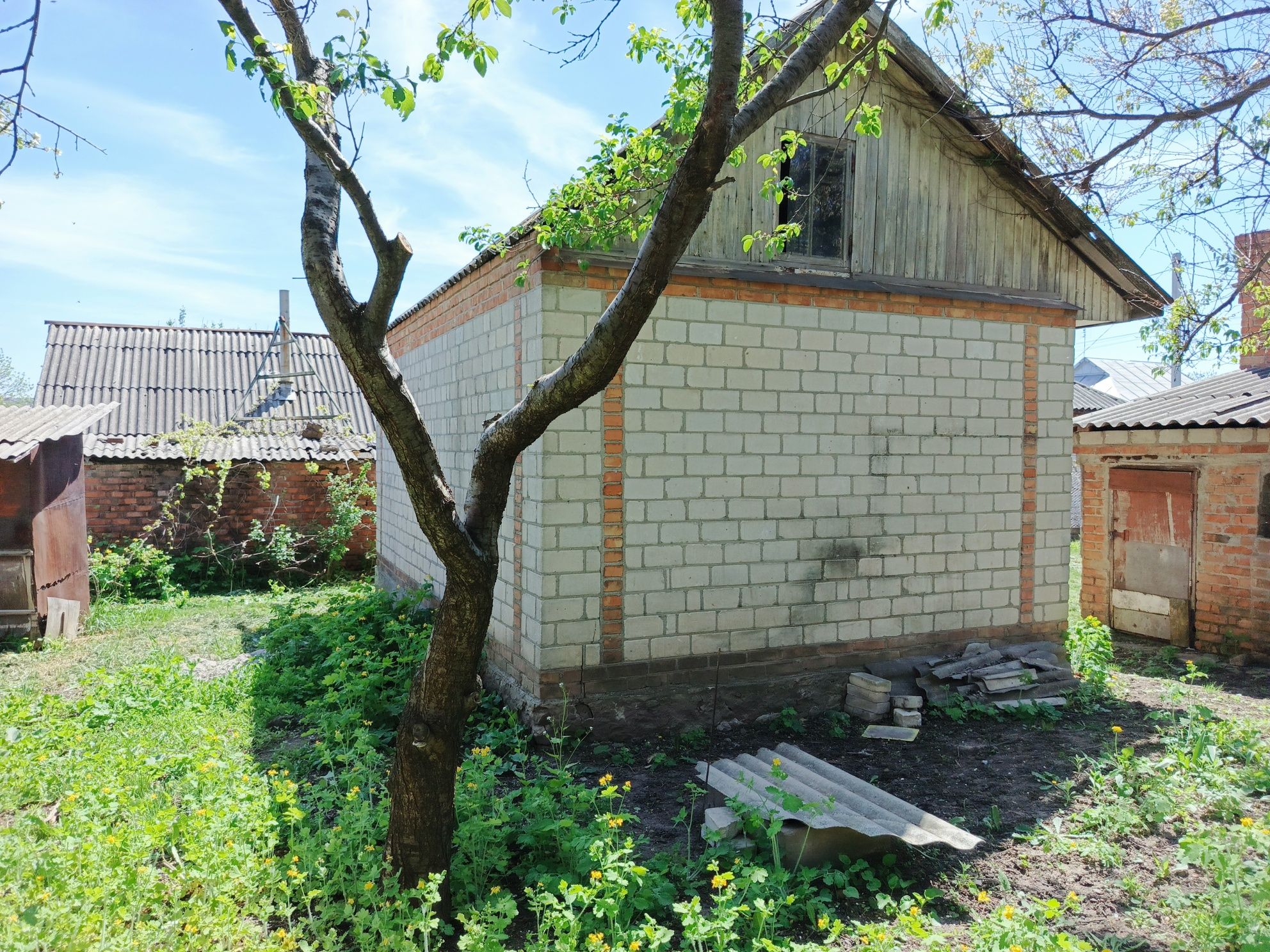 Image 5