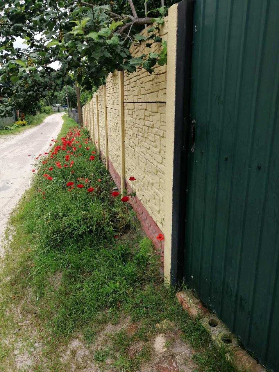 Image 20