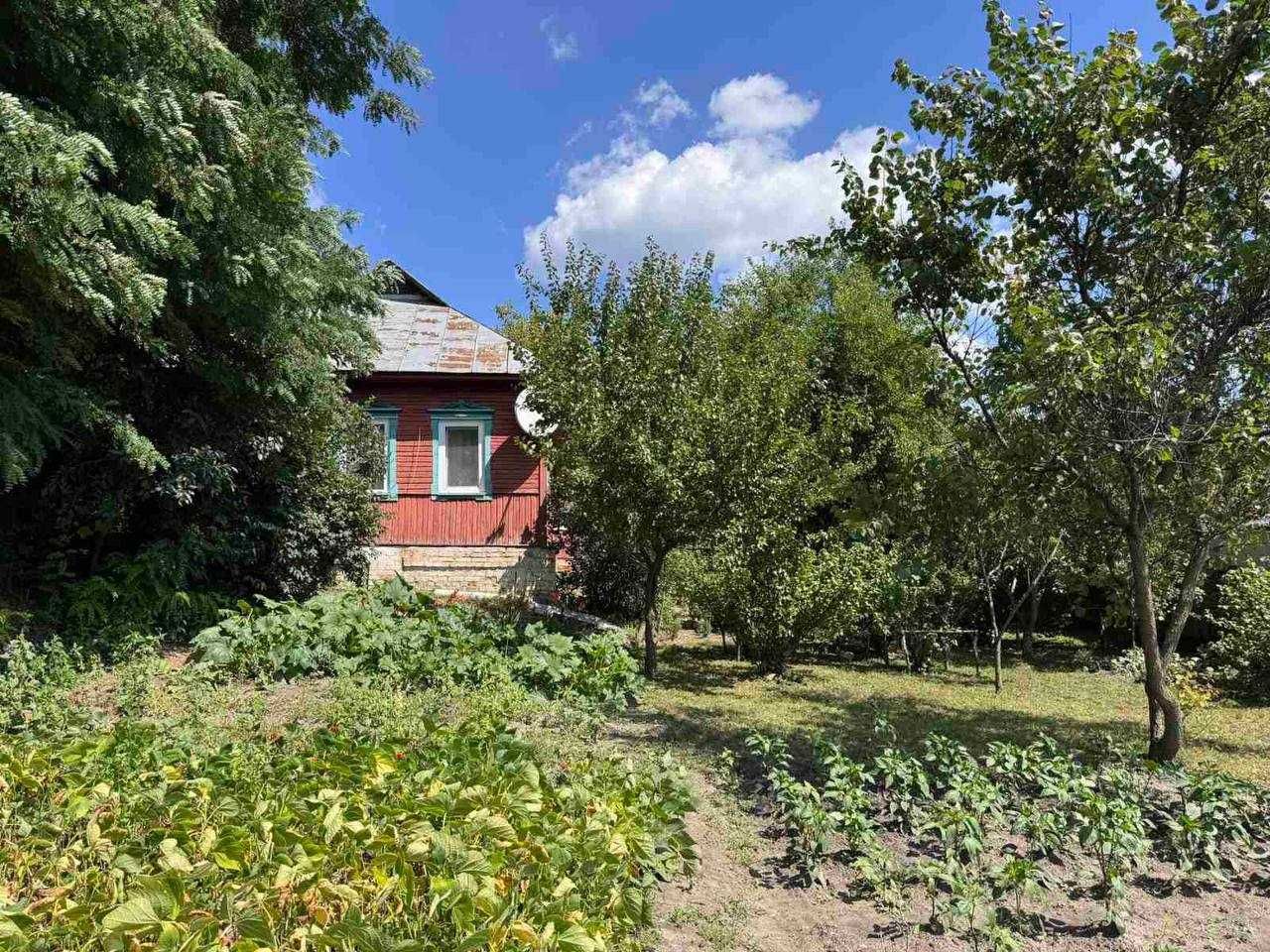 Image 9