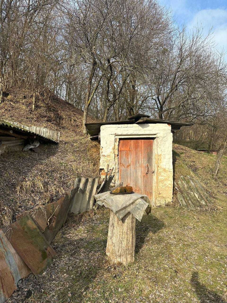 Image 14