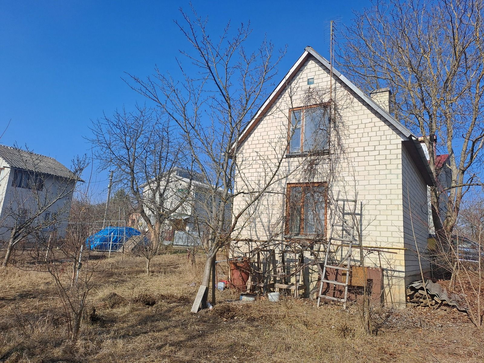Image 6