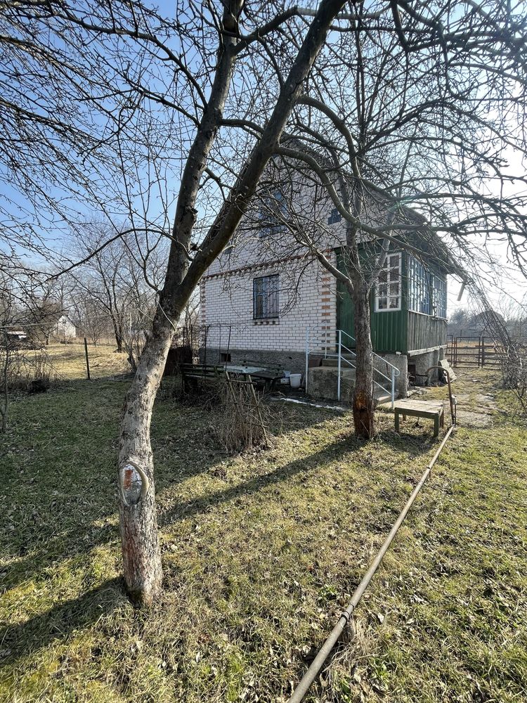Image 9
