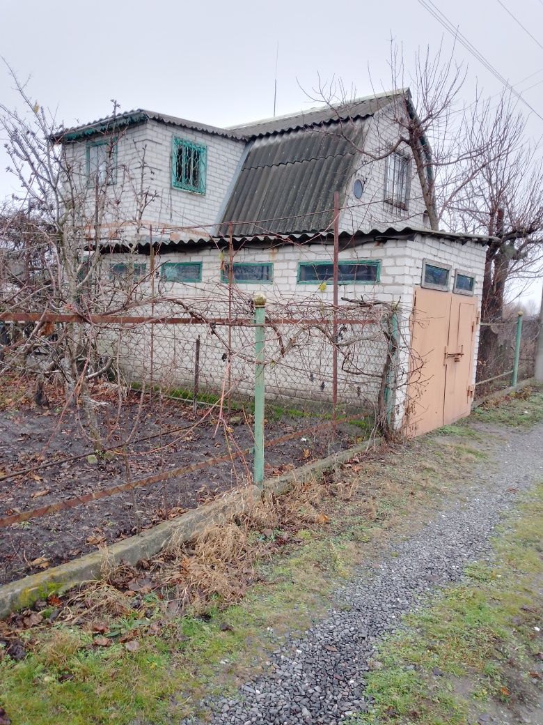 Image 8