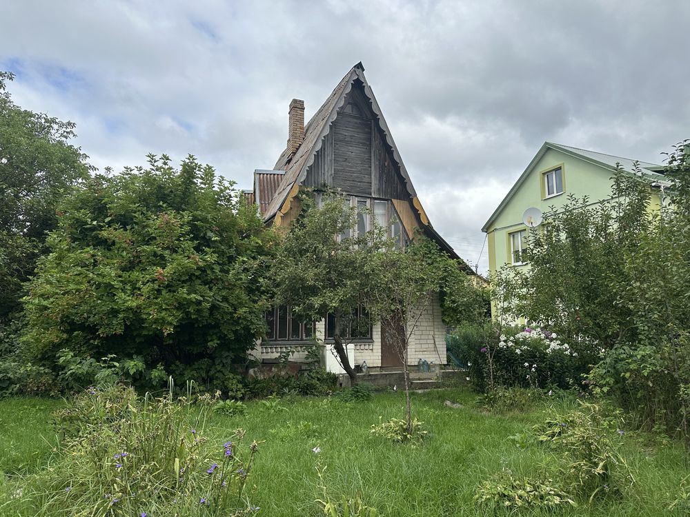 Image 4