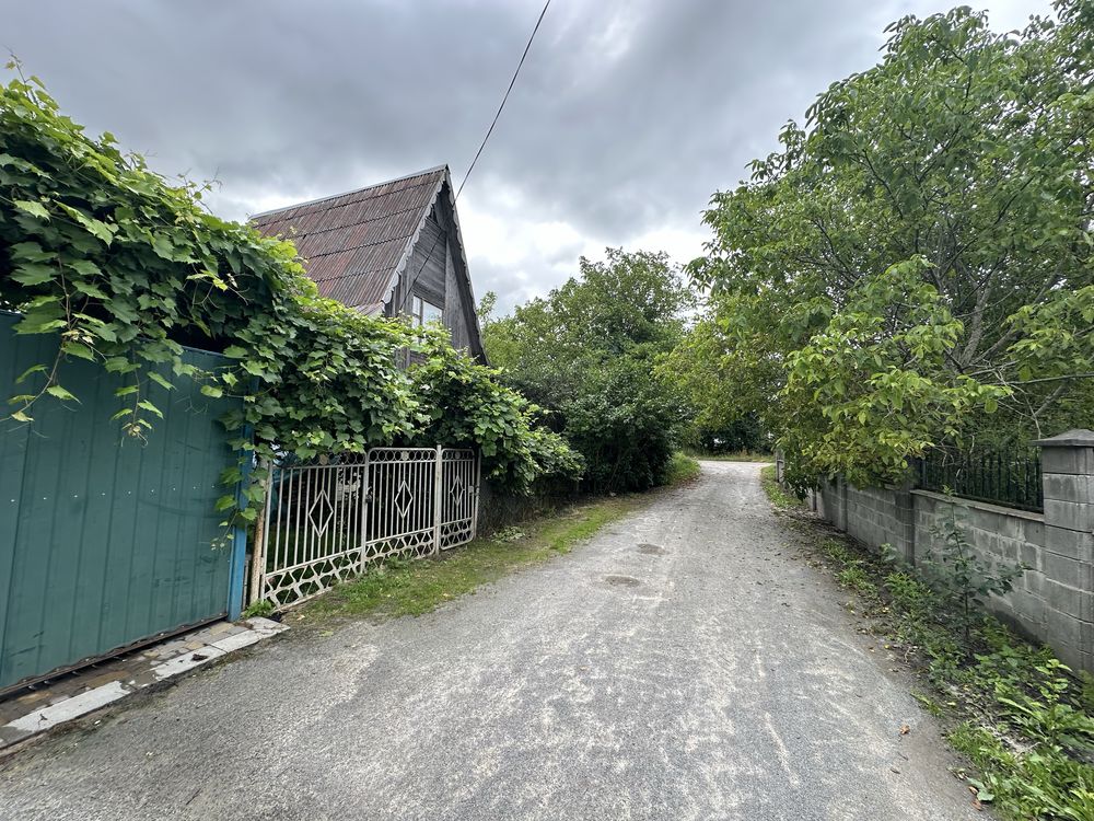 Image 8