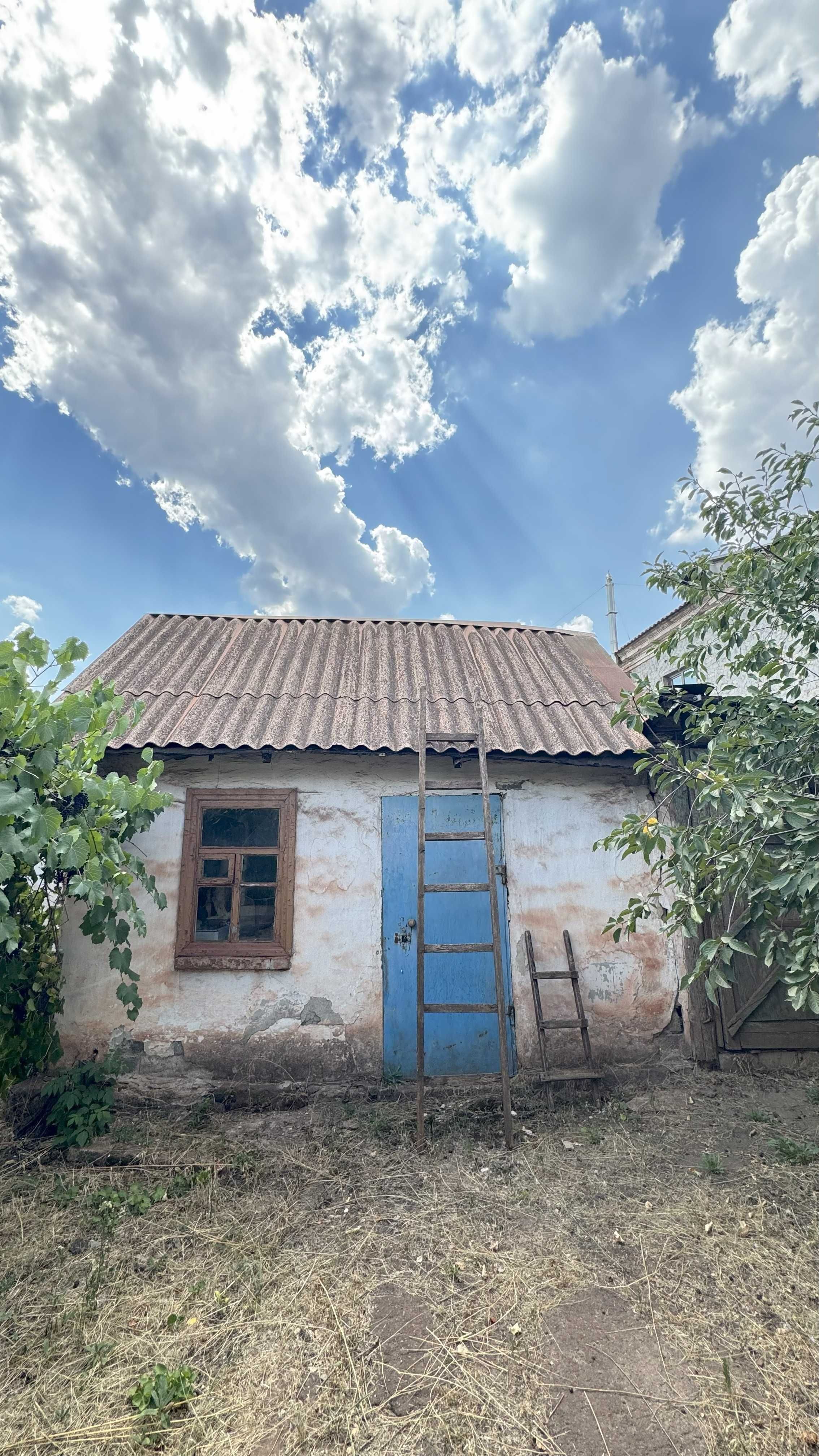 Image 8